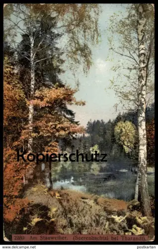 ALTE POSTKARTE AM STAUWEIHER SEERENBACHTAL BEI THARANDT Dorfhain Seerenbach Weiher Teich Photochromie Ansichtskarte cpa