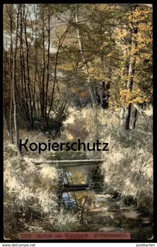 ALTE POSTKARTE HERBST AM WALDBACH OBERLAUSITZ Lausitz autumn Photochromie Ansichtskarte postcard AK cpa