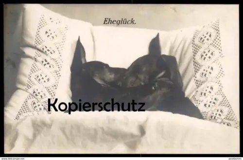 ALTE POSTKARTE DACKEL EHEGLÜCK EHE SPITZE Bett marriage bed mariage vermenschlicht Ehebett teckel basset dachshund dog