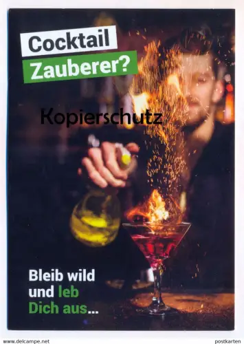POSTKARTE COCKTAIL ZAUBERER BLEIB WILD UND LEB DICH AUS ALKOHOL DEHOGA Barkeeper alcohol magician wizard alcool postcard