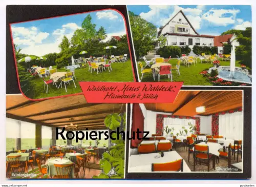 ÄLTERE POSTKARTE HAMBACH BEI JÜLICH WALDHOTEL HAUS WALDECK BEI STETTERNICH Niederzier Wildspezialitäten Elch Bär Löwe