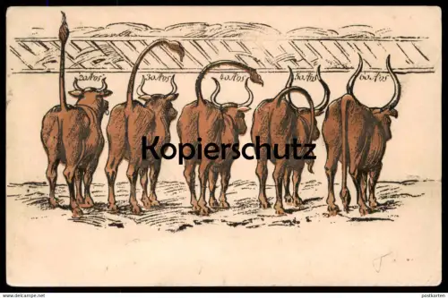 ALTE POSTKARTE BULLEN STEHVERMÖGEN 20 - 60 ANS 20 - 60 JAHRE EROTIK Erektion erection Rind Schwanz Kuh erotic postcard