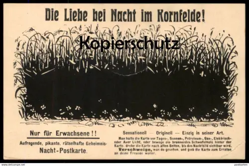 ALTE NACHT-POSTKARTE LIEBE BEI NACHT IM KORNFELDE NUR FÜR ERWACHSENE HUMOR KORNFELD sex humour at night postcard cpa AK