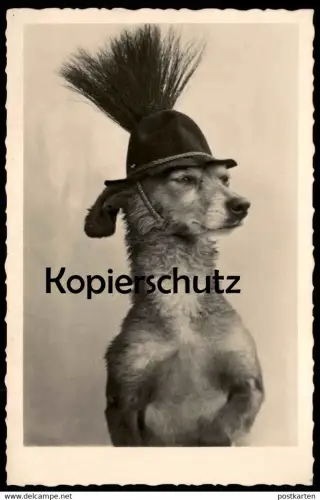ALTE POSTKARTE HUND VERMENSCHLICHT JAGDHUT GAMSBART TRACHTENHUT humanized dog chien Ansichtskarte postcard cpa AK