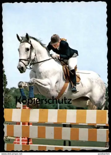 ÄLTERE POSTKARTE REITSPORT PFERD SPRINGREITEN show jumping Sport hippique Equitation horse cheval Barren cpa postcard