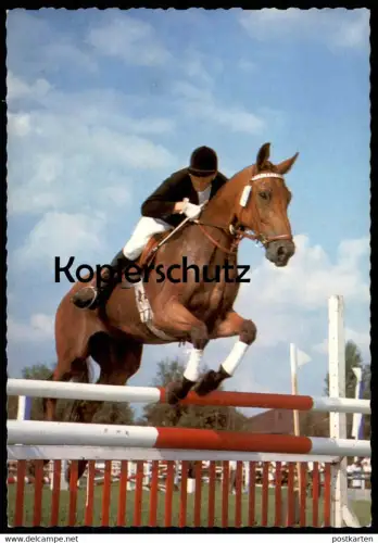 ÄLTERE POSTKARTE REITTURNIER VOLLBLUTSTUTE DOMGRÄFIN SPRINGREITEN Pferd Reitsport show jumping Equitation horse cheval
