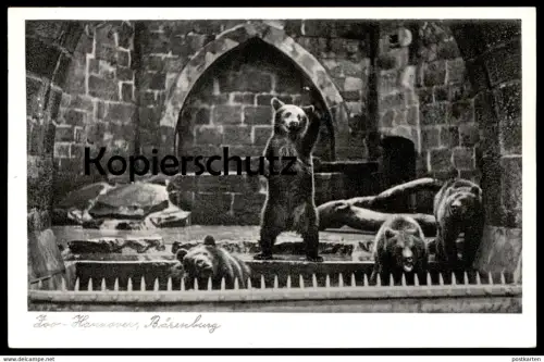 ALTE POSTKARTE ZOO HANNOVER BÄRENBURG BÄREN GEHEGE Bär bear ours Tierpark zoological garden postcard Ansichtskarte cpa