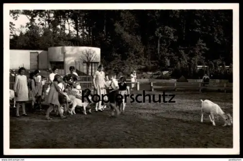 ALTE POSTKARTE ESSEN KINDER-ZOO IM GRUGAPARK TIERPARK Ziegen Ziege goat chèvre Ansichtskarte cpa postcard AK