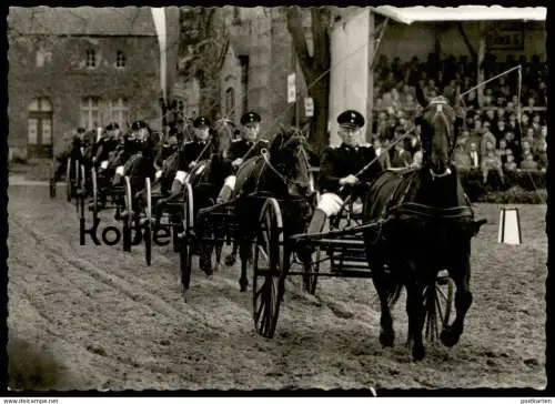 ALTE POSTKARTE HENGSTPARADE LANDGESTÜT WARENDORF Hengst Pferde horses horse Pferd coach postcard Ansichtskarte Reitsport