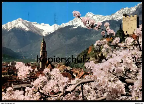 ÄLTERE POSTKARTE FRÜHLING IN MERAN TEXELGRUPPE PRIMAVERA A MERANO cpa postcard Ansichtskarte AK