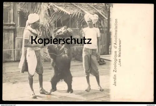 ALTE POSTKARTE JARDIN ZOOLOGIQUE D'ACCLIMATATION LES MALABARES Bär bear Tanzbär ours AK cpa postcard Ansichtskarte