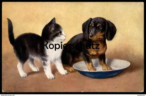 ALTE POSTKARTE DACKEL UND KATZE MIT MILCH Dachshund teckel dog chien Katze cat chat postcard Ansichtskarte AK cpa