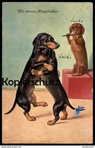 ALTE POSTKARTE WIR TANZEN RINGELREIHEN Dackel vermenschlicht Dachshund teckel dancing dog chien postcard Ansichtskarte