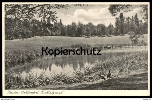 ALTE POSTKARTE BERLIN ZEHLENDORF FISCHTALGRUND postcard cpa Ansichtskarte AK