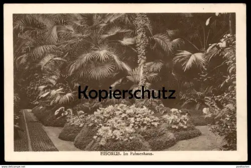 ALTE POSTKARTE EISGRUB IM PALMENHAUS FÜRST LIECHTENSTEIN SCHLOSS LEDNICE Mähren Ansichtskarte postcard cpa AK