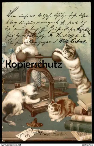 ALTE POSTKARTE VERMENSCHLICHTE KATZEN ALS BUCHDRUCKER BUCHPRESSE BUCHDRUCK Katze cat cats chats chat cpa postcard AK
