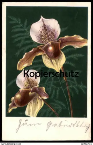 ALTE POSTKARTE ORCHIDEE ORCHID ORCHIDEA 1946 Botanik Plfanze Blume flower Verlag Hans Glogner Ansichtskarte postcard cpa