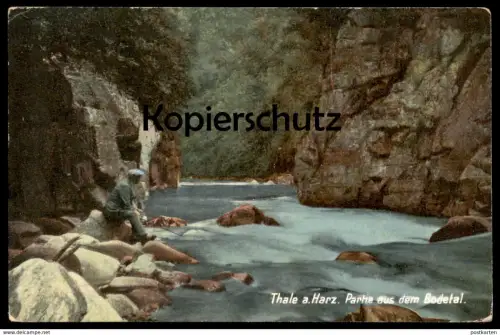 ALTE POSTKARTE THALE A. HARZ PARTIE AUS DEM BODETAL Bode Angler Fischer fishing fischerman pecheur Ansichtskarte cpa AK