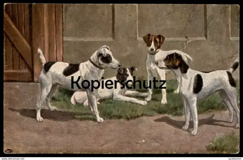 ALTE POSTKARTE SPIELENDE HUNDE PLAYING DOGS Hund dog chien Ansichtskarte postcard cpa AK