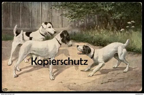 ALTE POSTKARTE SPIELENDE BELLENDE HUNDE PLAYING DOGS Hund dog chien Ansichtskarte postcard cpa AK