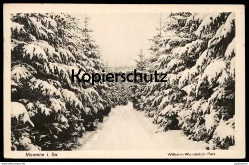 ALTE POSTKARTE MEERANE IN SACHSEN WILHELM-WUNDERLICH-PARK 1944 Winter Tannen Schnee Ansichtskarte postcard cpa AK