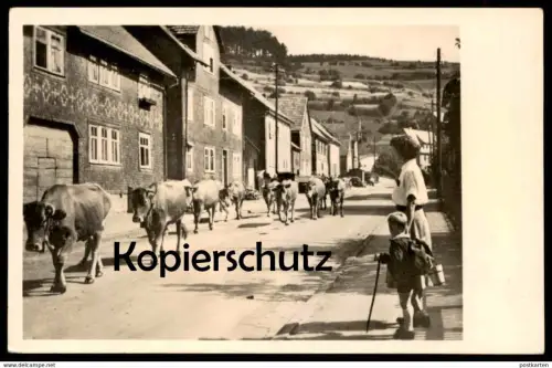 ALTE POSTKARTE LUFTKURORT PAPPENHEIM THÜRINGEN FRIEDRICHRODAER STRASSE  KLEINSCHMALKALDEN KUHTRIEB KÜHE Floh-Seligenthal