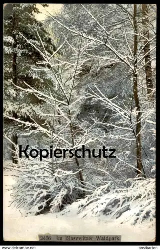 ALTE POSTKARTE IM BLASEWITZER WALDPARK BLASEWITZ PARK Dresden Schnee snow Winter cpa postcard AK Ansichtskarte
