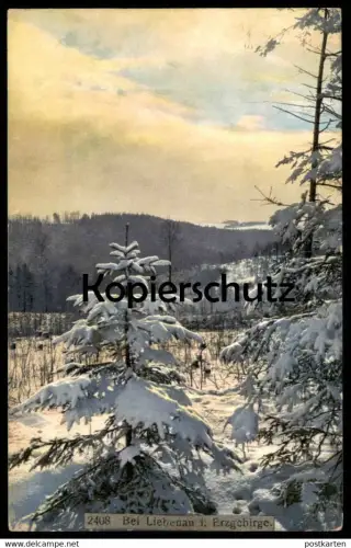 ALTE POSTKARTE BEI LIEBENAU IM ERZGEBIRGE Altenberg Photochromie Schnee snow Winter cpa postcard AK Ansichtskarte