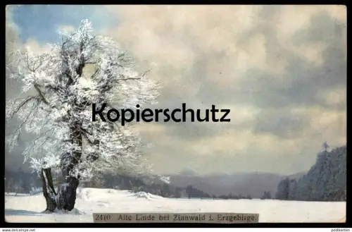 ALTE POSTKARTE ALTE LINDE BEI ZINNWALD IM ERZGEBIRGE Georgenfeld Altenberg tree Baum arbre tilleul lime Ansichtskarte