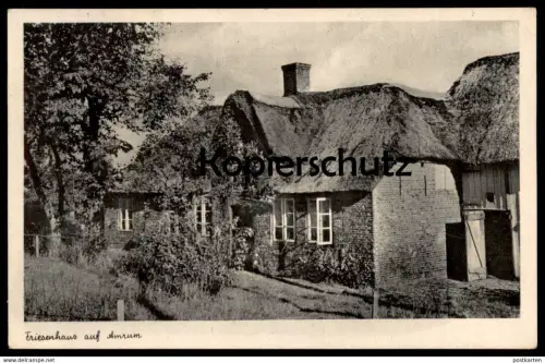 ALTE POSTKARTE FRIESENHAUS AUF INSEL AMRUM Reetdach Reet Bauernhaus Friesisches Haus Ansichtskarte cpa AK postcard