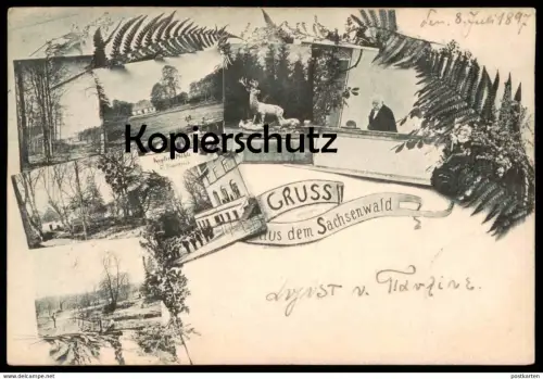 ALTE POSTKARTE GRUSS AUS DEM SACHSENWALD 1897 KUPFER-MÜHLE FRIEDRICHSRUH Aumühle AK postcard Ansichtskarte cpa