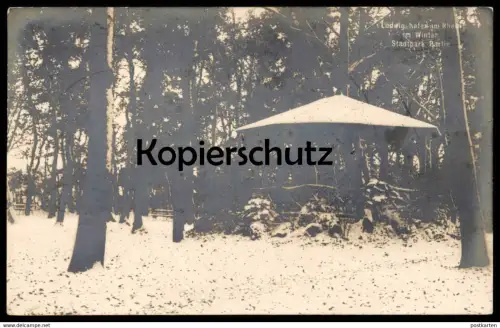 ALTE POSTKARTE LUDWIGSHAFEN AM RHEIN IM WINTER STADTPARK SCHNEE PARK PARTIE hiver snow Ansichtskarte cpa postcard AK