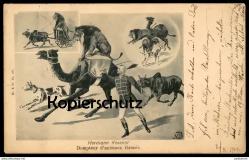 ALTE POSTKARTE HERMANN KESSNER DOMPTEUR D'ANIMAUX FÉROCES Zirkus Knie cirque circus dresseur Dressur Zürich postcard