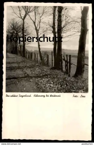 ALTE POSTKARTE DAS SCHÖNE SIEGERLAND HÖHENWEG BEI WEIDENAU FOTO LOOS Waldweg cpa postcard AK Ansichtskarte