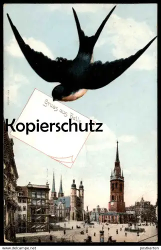 ALTE POSTKARTE GRUSS AUS HALLE SCHWALBE BRINGT MITTEILUNG BRIEF Vogel swallow bird avaler cpa postcard AK Ansichtskarte
