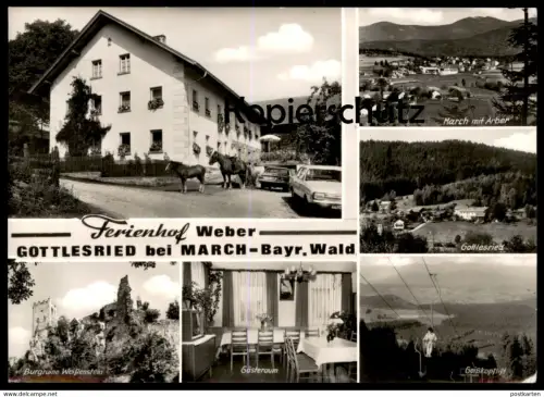 ÄLTERE POSTKARTE FERIENHOF WEBER GOTTLESRIED BEI MARCH BAYRISCHER WALD Zachenberg Ruhmannsfelden Pferde horses Blesse