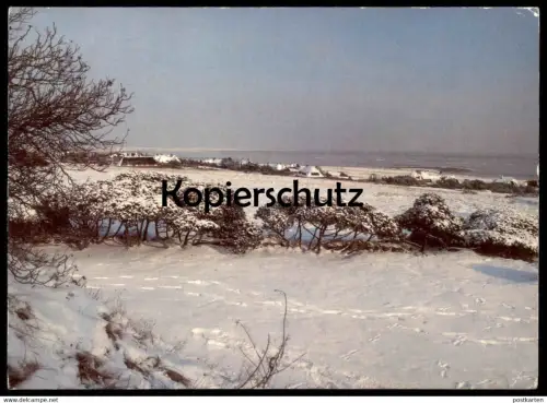 ÄLTERE POSTKARTE WINTER AM WATTENMEER AUF SYLT 1981 snow hiver Schnee Ansichtskarte AK cpa postcard