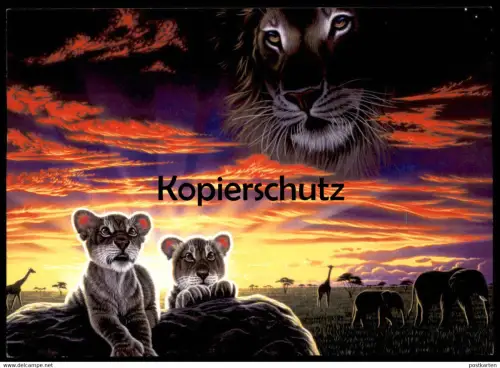ÄLTERE POSTKARTE MOTHER EARTH FATHER SKY SCHIM SCHIMMEL Löwe Giraffe Elefant lion elephant Ansichtskarte postcard AK cpa