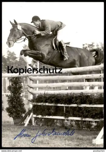 ÄLTERE POSTKARTE ALWIN SCHOCKEMÖHLE PFERD REITSPORT AUTOGRAMMKARTE Show Jumping Sport Horse Cheval Autograph postcard AK