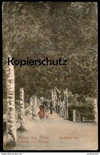 ALTE POSTKARTE GRUSS AUS LIBAU DIE BIRKEN-ALLÉE 1909 KURLAND BIRKENALLEE LIEPAJA alley cpa postcard AK Ansichtskarte