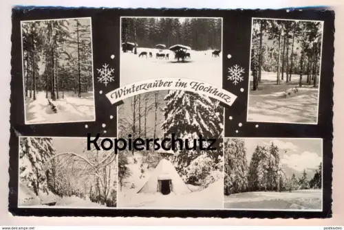 ÄLTERE POSTKARTE WINTERZAUBER IM HOCHHARZ KÖHLER KÖHLERHÜTTE Harz Wildfütterung Winter Schnee Ansichtskarte AK postcard