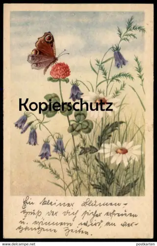 ALTE KÜNSTLER POSTKARTE SCHMETTERLING TAGPFAUENAUGE 1944 peacock butterfly papillon Ehrenforst Schlesien Ansichtskarte
