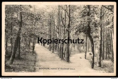 ALTE POSTKARTE BOCHUM PARTIE IM RECHENER WALD Wanderwege Bäume Ansichtskarte AK postcard cpa