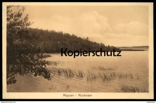 ALTE POSTKARTE MASUREN MUCKERSEE Ostpreussen AK Ansichtskarte cpa postcard