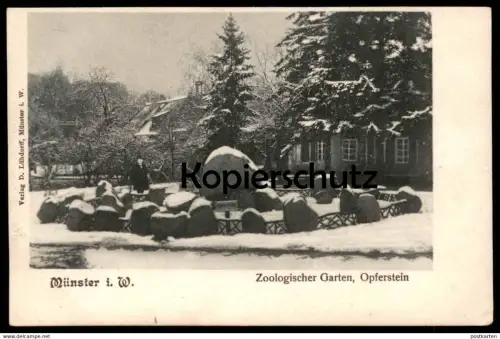 ALTE POSTKARTE MÜNSTER ZOOLOGISCHER GARTEN ZOO OPFERSTEIN IM WINTER Denkmal monument cpa AK