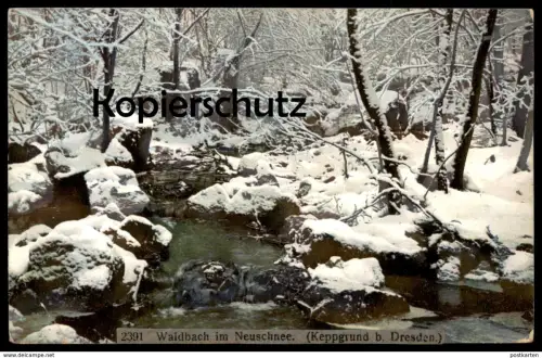 ALTE POSTKARTE WALDBACH IM NEUSCHNEE KEPPGRUND BEZ. DRESDEN Hosterwitz Sachsen Winter Schnee snow hiver Ansichtskarte AK