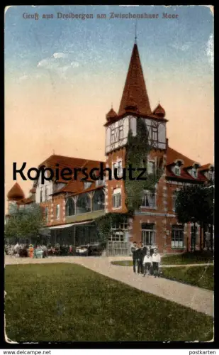 ALTE POSTKARTE GRUSS AUS DREIBERGEN 1919 AM ZWISCHENAHNER MEER Bad Zwischenahn Niedersachsen enfants pupil children