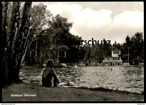 ÄLTERE POSTKARTE WALDBAD SILBERTEICH SEIFHENNERSDORF Schwimmbad Bad piscine swimming pool bath Frau woman girl cpa AK