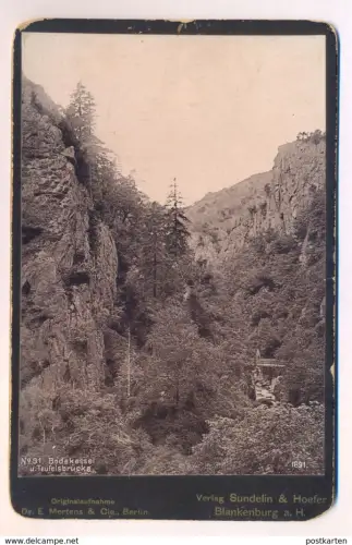 ALTES KABINETTFOTO CDV CAB PHOTO BODEKESSEL UND TEUFELSBRÜCKE 1891 Photochromie Photoplatte Dr. E. Mertens, Berlin Harz