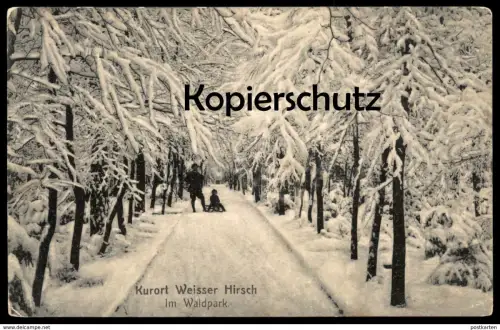 ALTE POSTKARTE KURORT WEISSER HIRSCH IM WALDPARK WINTER DRESDEN Schlitten luge sleigh Kind enfant child hiver Schnee AK
